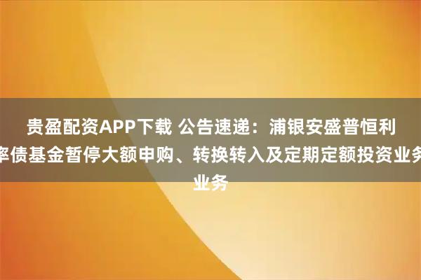 贵盈配资APP下载 公告速递：浦银安盛普恒利率债基金暂停大额申购、转换转入及定期定额投资业务