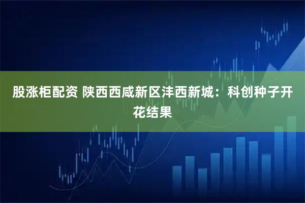 股涨柜配资 陕西西咸新区沣西新城：科创种子开花结果