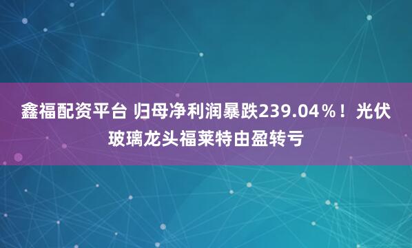 鑫福配资平台 归母净利润暴跌239.04％！光伏玻璃龙头福莱特由盈转亏